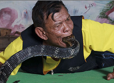 Bilderesultat for snake in mouth